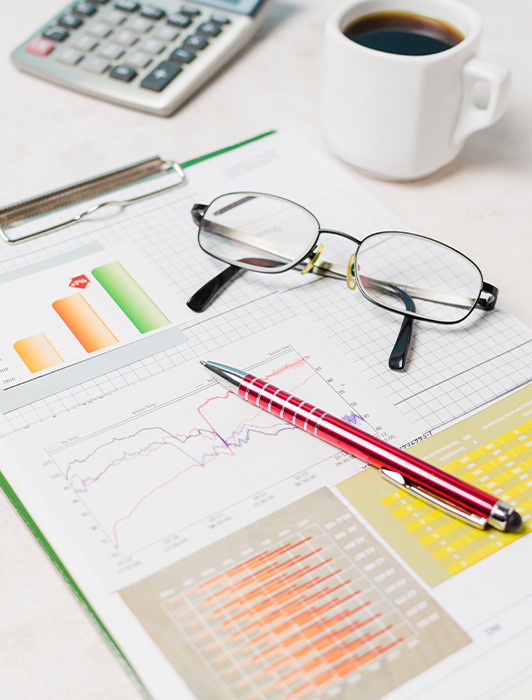 What Accounting Services We Offer Finance Professionals