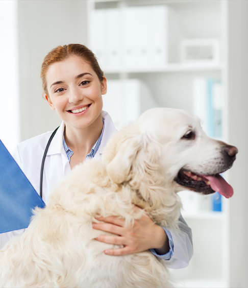 Tailored Support for Locum Vets Tailored Support for Locum Vets