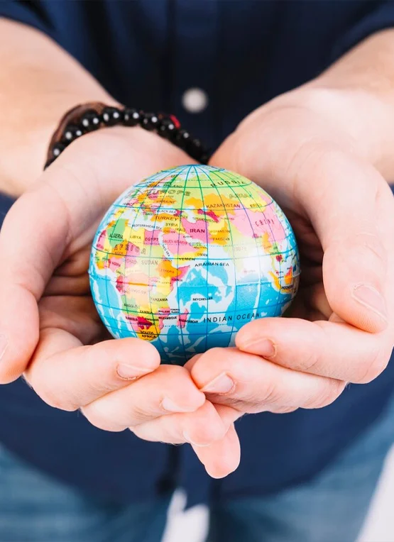 Worldwide Disclosure Facility